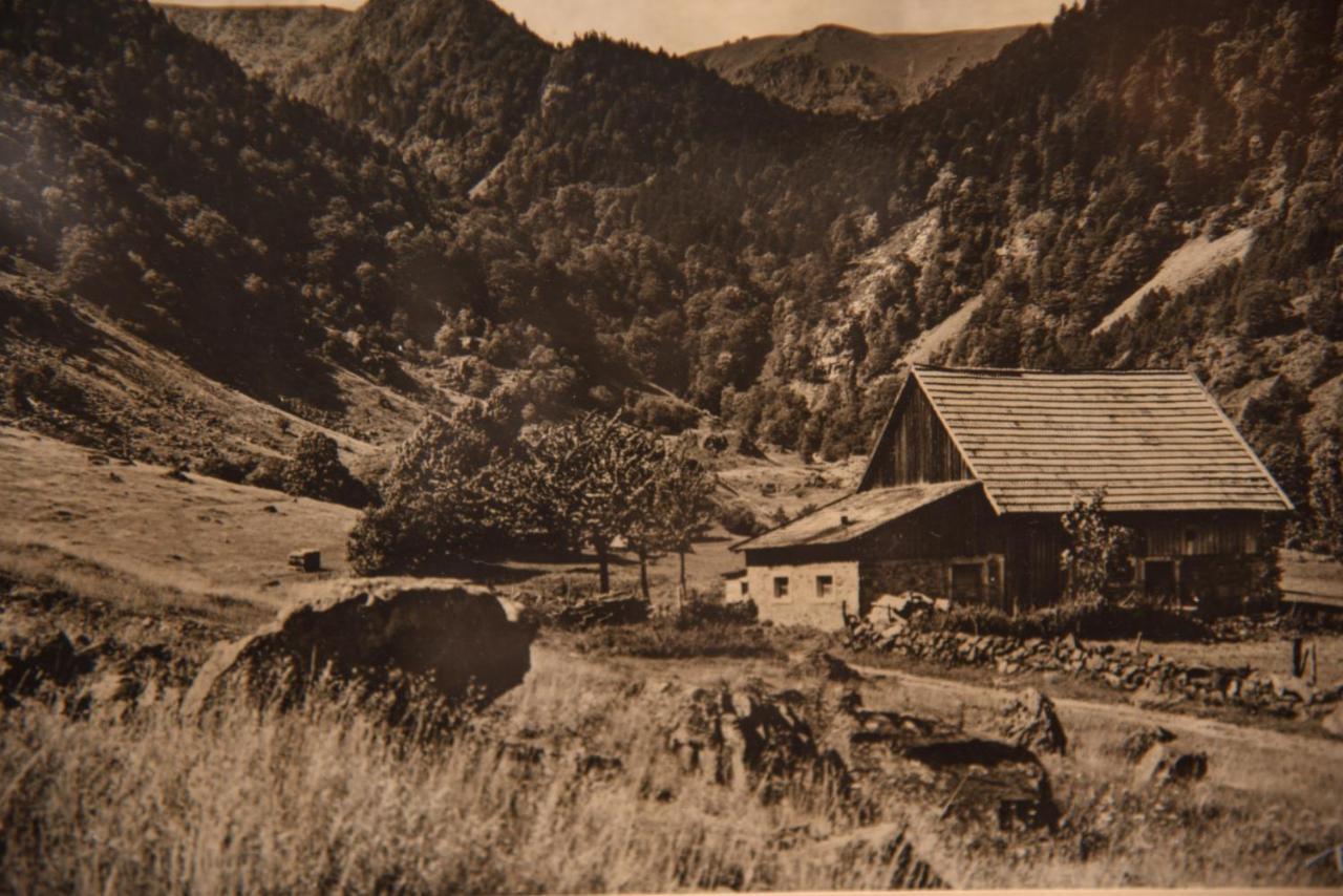 Hotel Deybach Munster  Dış mekan fotoğraf